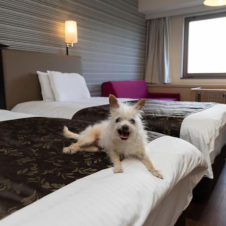 Apa Hotel & Resort Joetsu Мёко Экстерьер фото