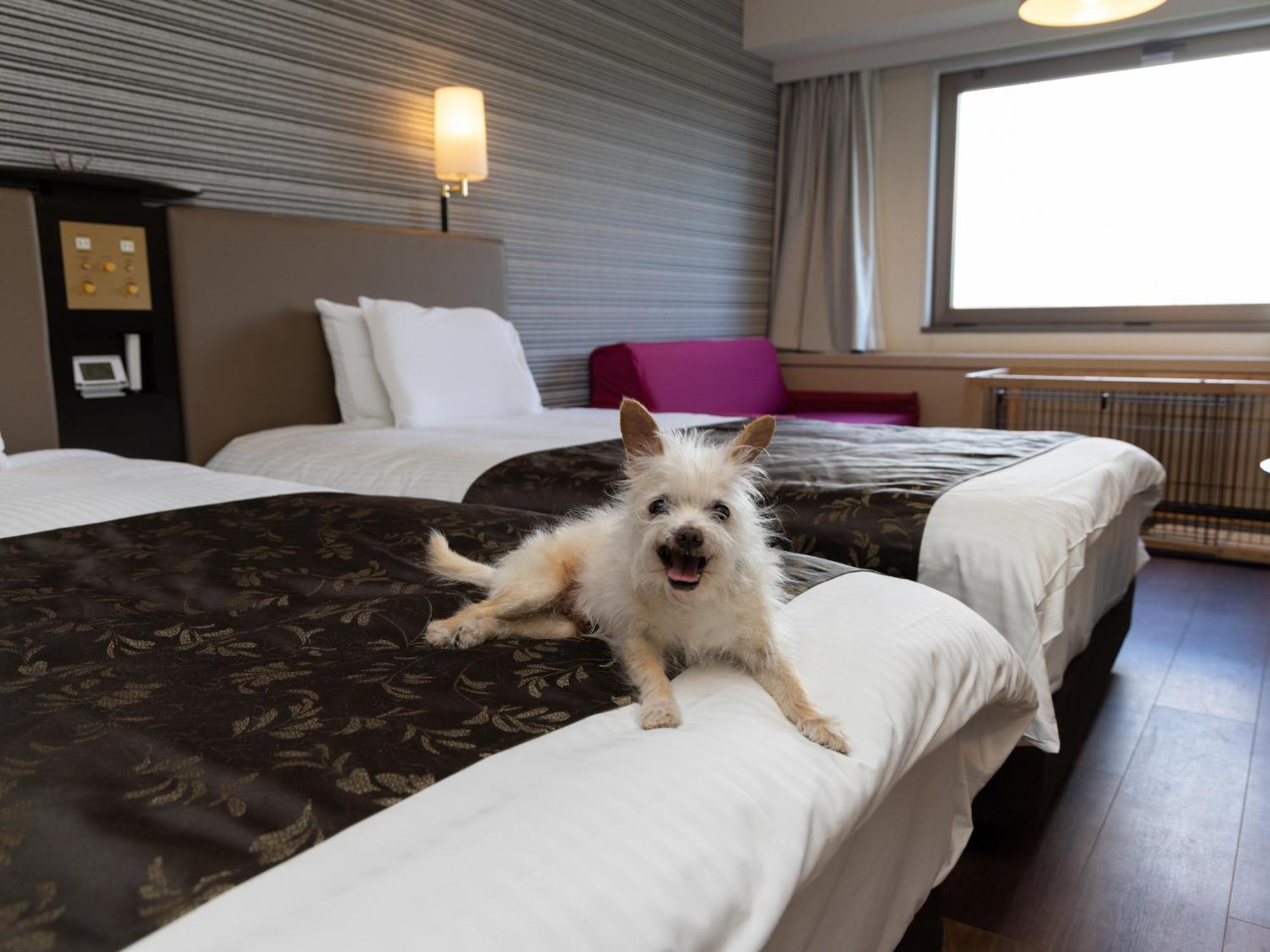 Apa Hotel & Resort Joetsu Мёко Экстерьер фото